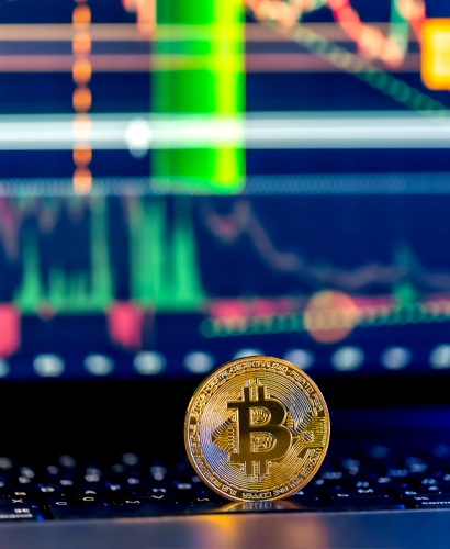 Zandewaldix Trading Informationen